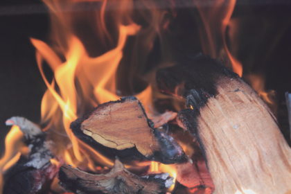 Il calore dal legno: caldaie, stufe e termocamini a biomasse legnose