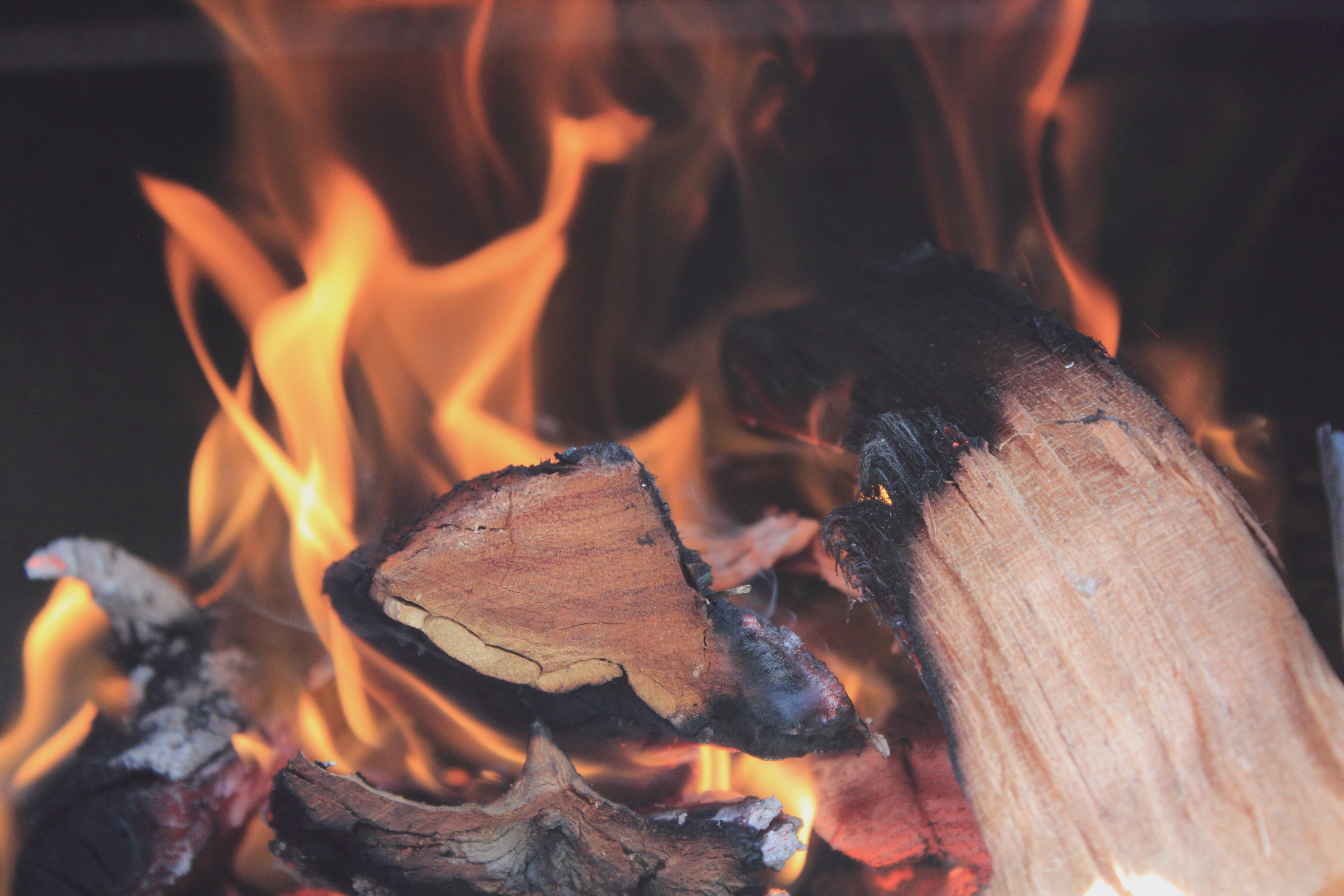 Il calore dal legno: caldaie, stufe e termocamini a biomasse legnose
